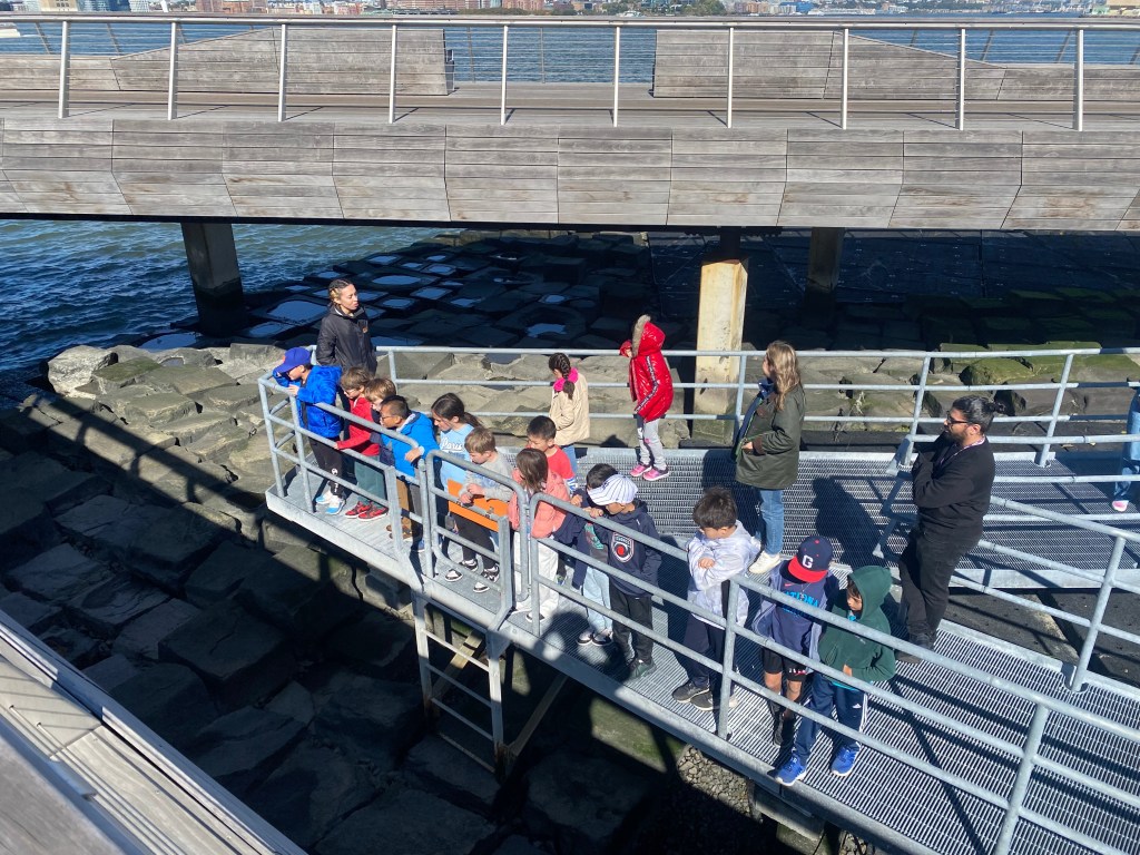 Pier 26 Shoreline&nbsp;Ecology